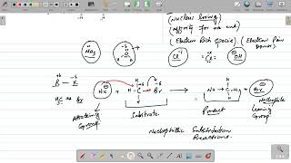 SN 2 reactions