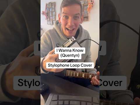 I Wanna Know (Quentyn) Stylophone loop Cover. #guitar #livelooping #loopcover #iwannaknow