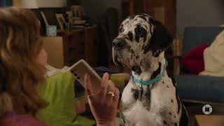 Chase Woman moves in with her Dalmatian dog