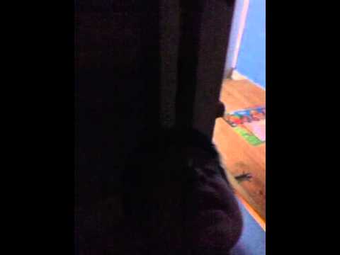 Yordan jara-buscandote encontre