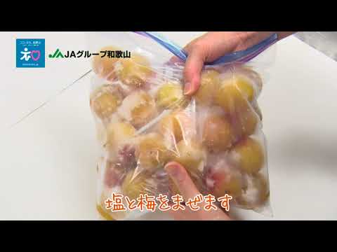 ストックバックを使った簡単梅干し作り