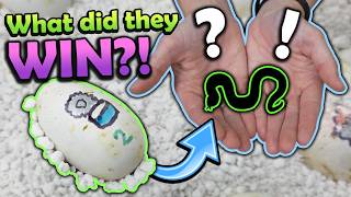 What Did Our Giveaway Egg Hatch Into?!