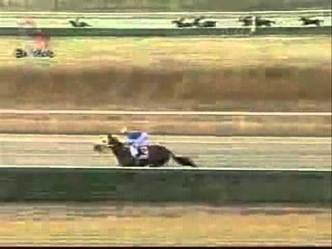 MyOwnBusiness Clásico Valencia Invitacional (2003)