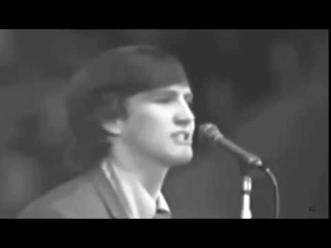 Wayne Fontana And The Mindbenders -  Just A Little Bit Too Late (1965 NME Concert, Wembley)