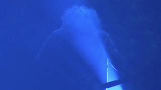 The Jesus and Mary Chain - 20. Taste of Cindy (O2 Institute Birmingham, 31.03.17)