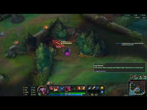 Duskblade Bruiser Shaco Jungle