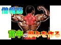 僧帽筋全体をデカくする3種目とケア【筋トレ】