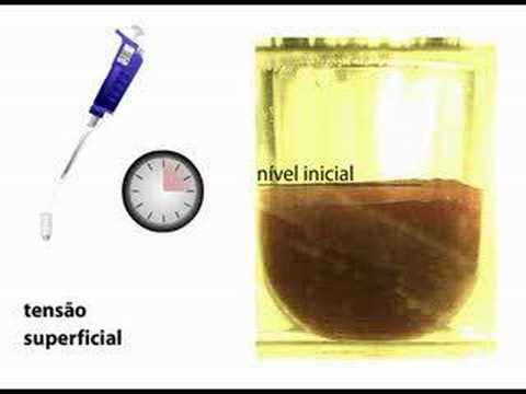 Sedimentação do sangue