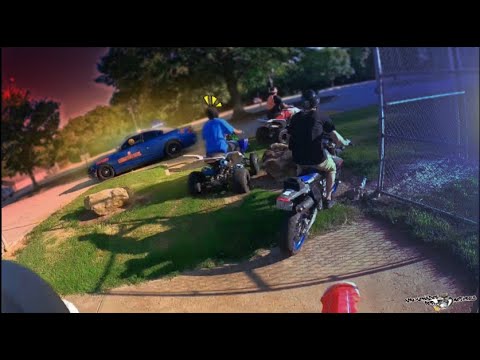 FATOS CURIOSOS NO TRÂNSITO EP 193