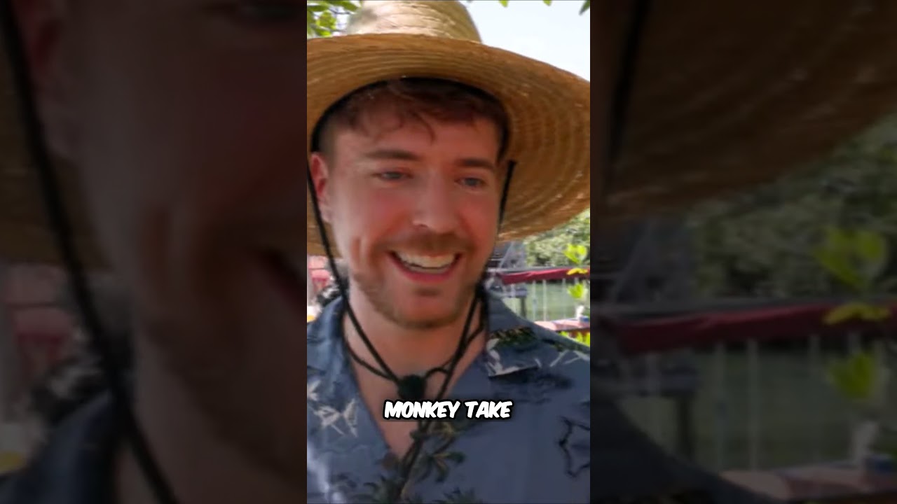 Monkey Island  Exploring the Mischief of Monkeys and Their Clever Food Stealing Tactics