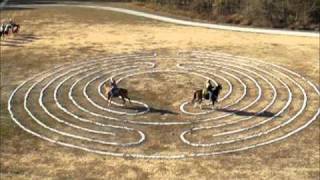 preview picture of video 'equine labyrinth demonstration - horses on the labyrinth tls'
