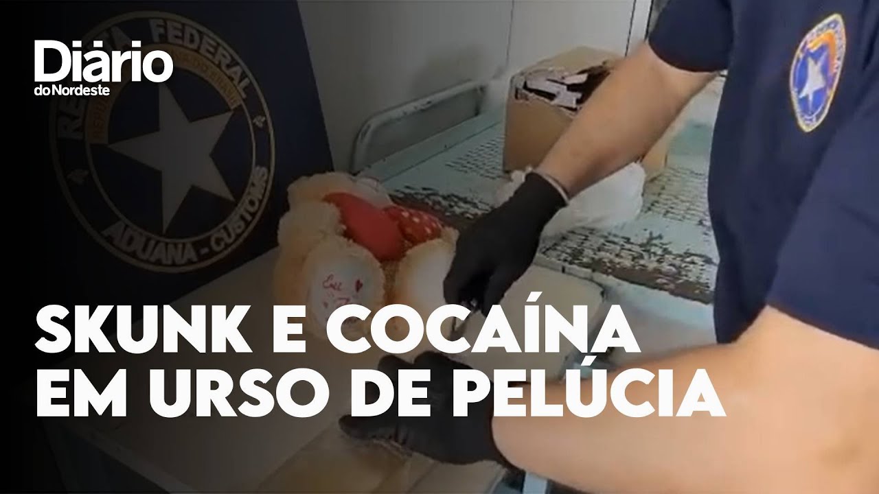 Imagem da notícia Receita apreende skunk e cocaína dentro de urso de pelúcia no Aeroporto de Fortaleza