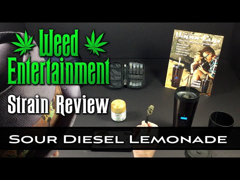 download lagu mp3 mp4 Sour Lemonade Strain, download lagu Sour Lemonade Strain gratis, unduh video klip Sour Lemonade Strain