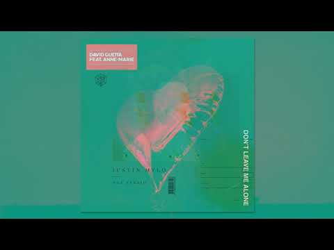 David Guetta vs. Justin Mylo - Don't Leave Me Alone vs. Not Afraid (Nick Niroz Mashup)