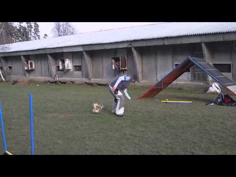 Práce na zemi - absolutní top spin