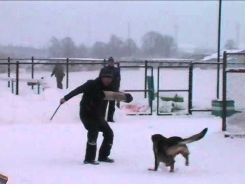 Protection training at Ol'Kar. Helper - Pavel Zorkin. Dec.2013