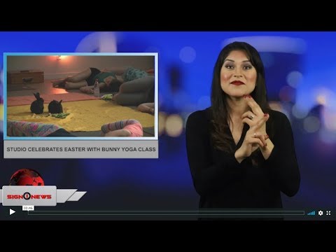 Studio celebrates Easter with bunny yoga class (ASL - 4.21.19)
