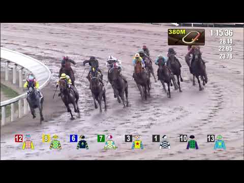 10/10/2021 (88) The Mint - Matthew Chadwick