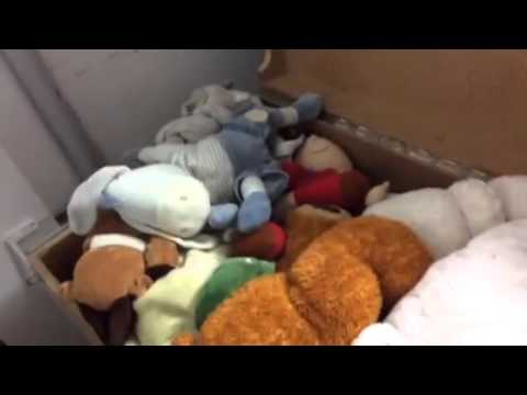 L homme dans le ni de peluche