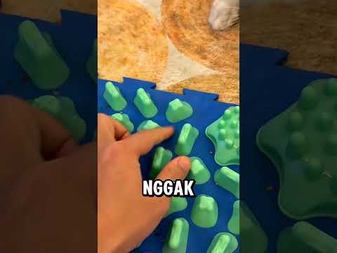 majikan beli barang banyak biar oreo gak gosok badannya ke kulit durian!