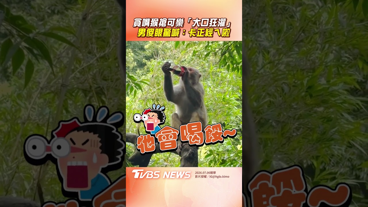 影音/貪嘴猴搶奪可樂「大口狂灌」! 男驚喊「卡正經ㄟ」:喝太多不好