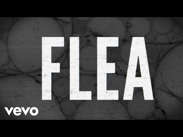 Flea – St. Vincent / セイント・ヴィンセント 和訳