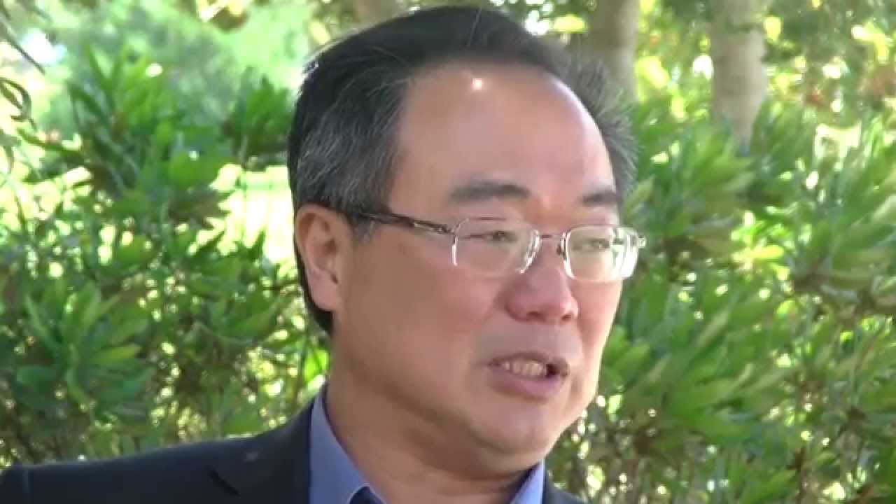 About the Bachelor of Science in Computer Science & Information Technology