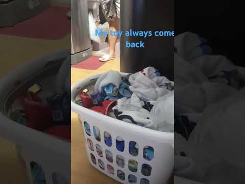 my toy always cme back