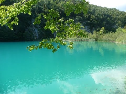 SUNSHINE DEEP HOUSE BY Ariel Chamoun