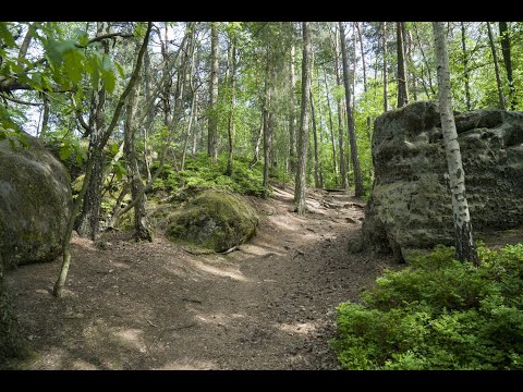 Bohemian paradise one-day tour from Prague