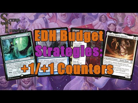 Shop Class: Building EDH +1/+1 Counters on a Budget