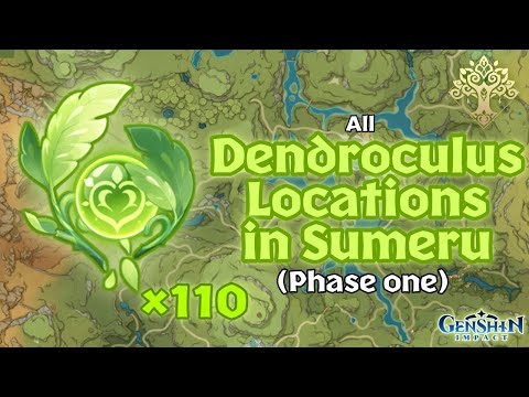 All Dendroculus Locations in Sumeru (Phase 1) | Genshin Impact 3.0