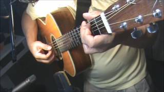 Vegetable Car-Joshua Radin-chords-fingerstyle -cover