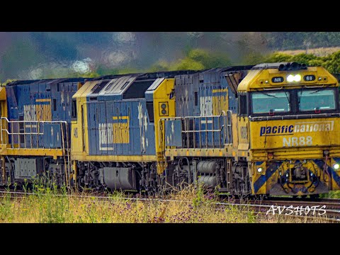 PACIFIC NATIONAL NR88 AN9 & NR101 Speed Down Menangle NSW AUSTRALIA