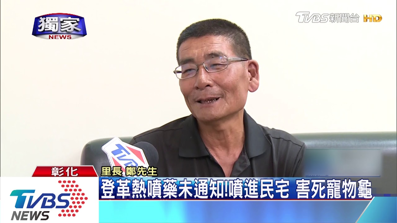 登革熱噴藥沒講! 噴進民宅害死2寵物龜
