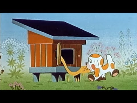 Jak štěňátko dostalo chuť na med