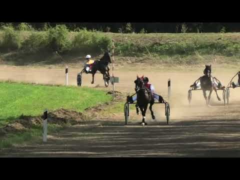 Velika Plana-20.08.2023, Clayton & D. Petrović