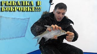 Рыбалка в первомайском районе алтайский край