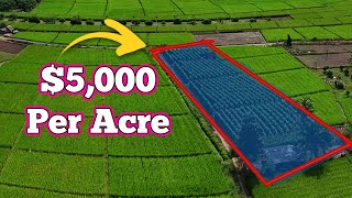 NEVER Buy Land WITHOUT Knowing This Information!