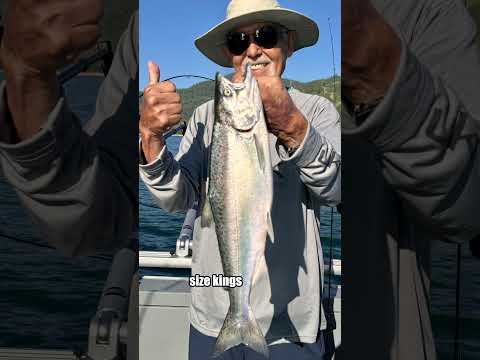 Shasta Lake Fishing Report | May 2026