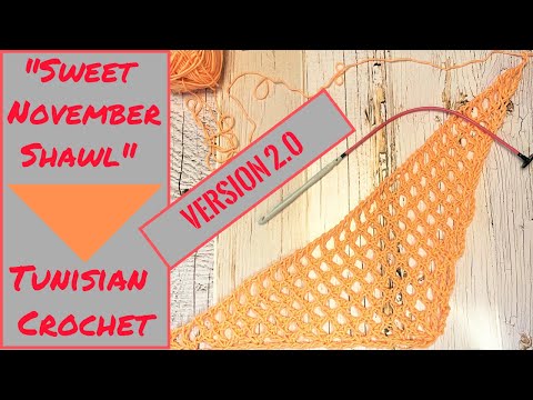 Sweet November Mesh Shawl Tunisian Crochet Version 2.0