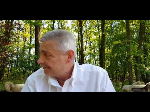 Sorin Ovidiu Vîntu eșecul cu laserul de la Măgurele