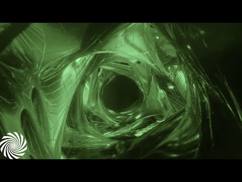 Wood Warden - The Green Book [Visuals]