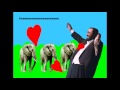 Luciano Pavarotti Loves Elephants 