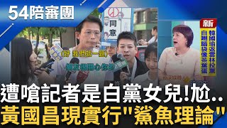 黃國昌批四叉貓