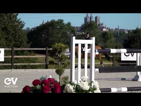 Joyce Messipierre SAUT