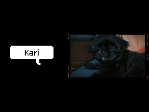 MY DAUGHTER'S SHIHTZU | MEET KARI | PROUDLY MOMMY VLOGS