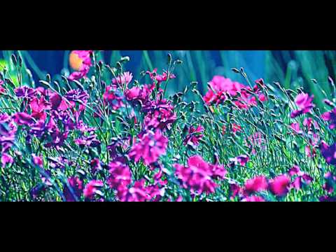 My Edited Video qutaiba