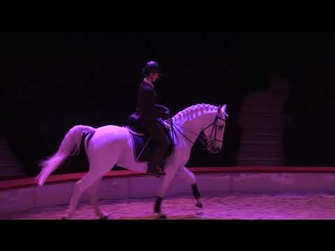 Fachtagung PFERDEAUSBILDUNG Jana Lacey-Krone & Anja Beran im November 2017