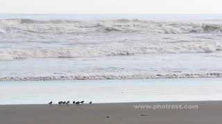 夏の浜辺